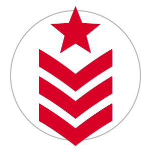 api-military-defense-icon